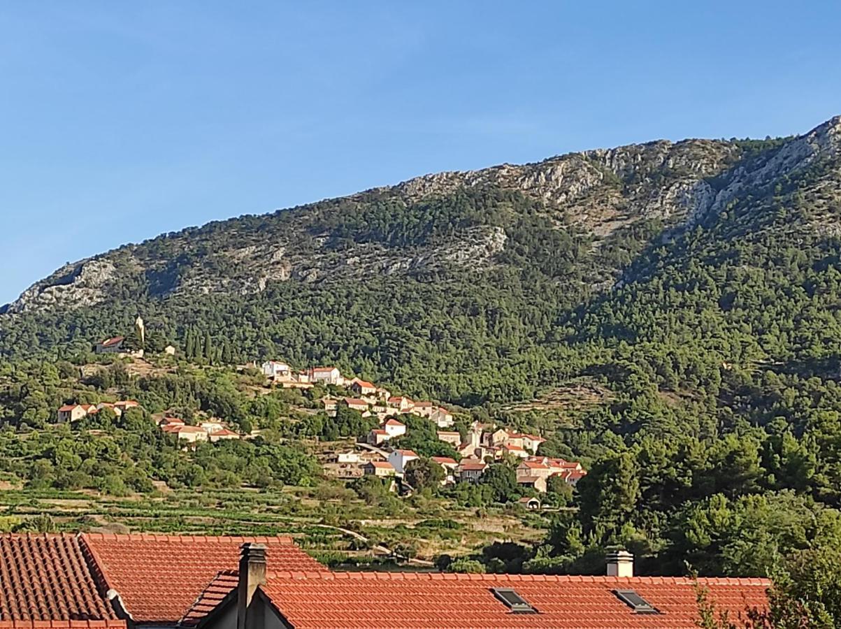 Stone House, Svirce, Hvar エクステリア 写真